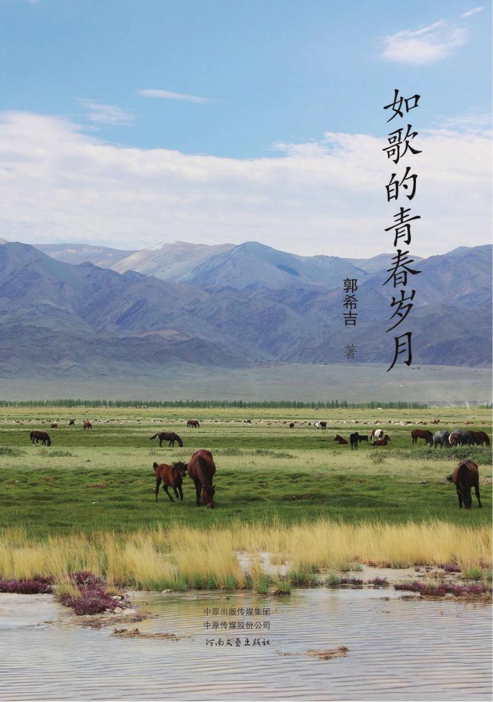 如歌的青春岁月 封面