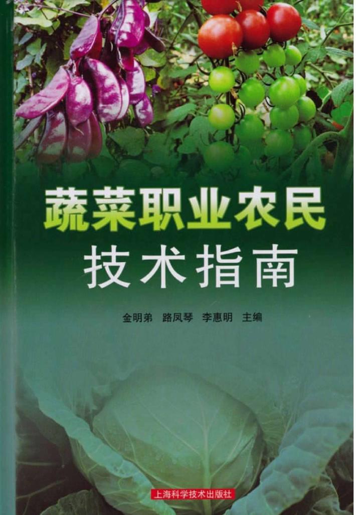 蔬菜职业农民技术指南 封面