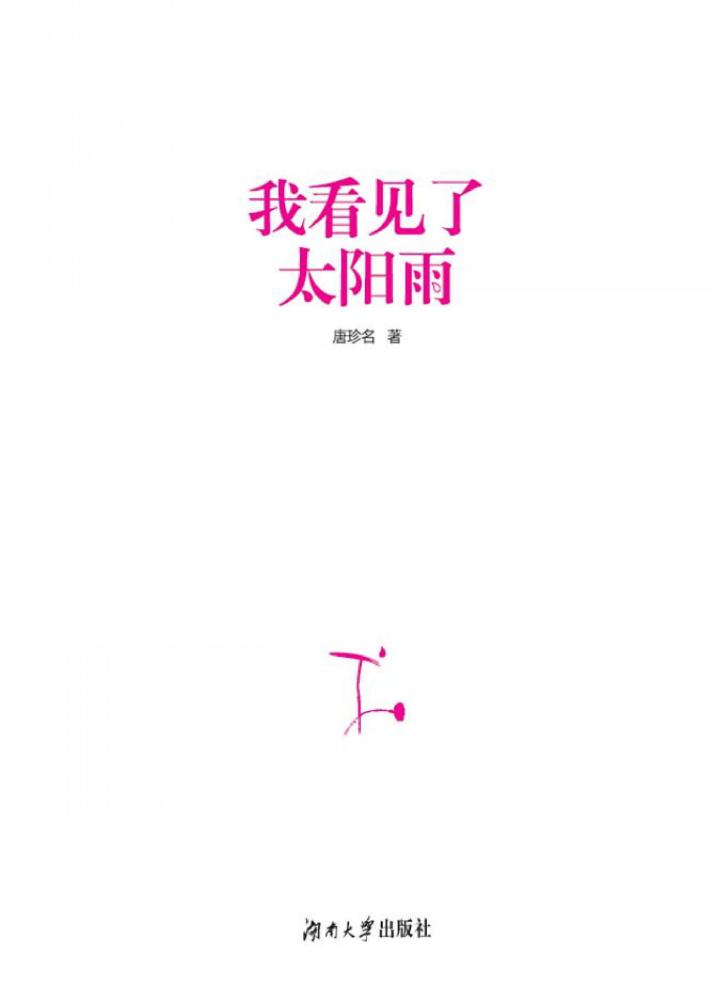 我看见了太阳雨 封面