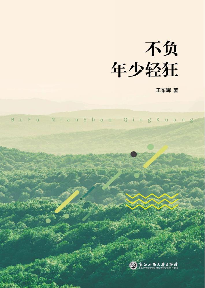 不负年少轻狂 封面