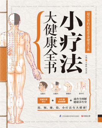小疗法大健康全书 封面