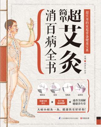 超简单艾灸消百病全书 封面