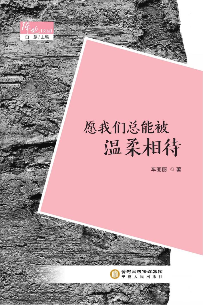 阵地文丛 愿我们总能被温柔相待 封面