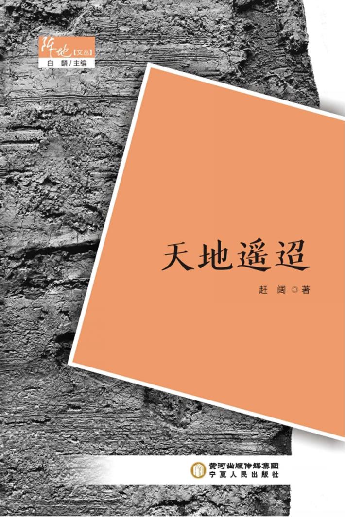 阵地文丛 天地遥迢 封面