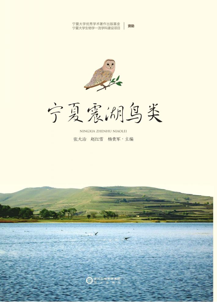 宁夏震湖鸟类 封面