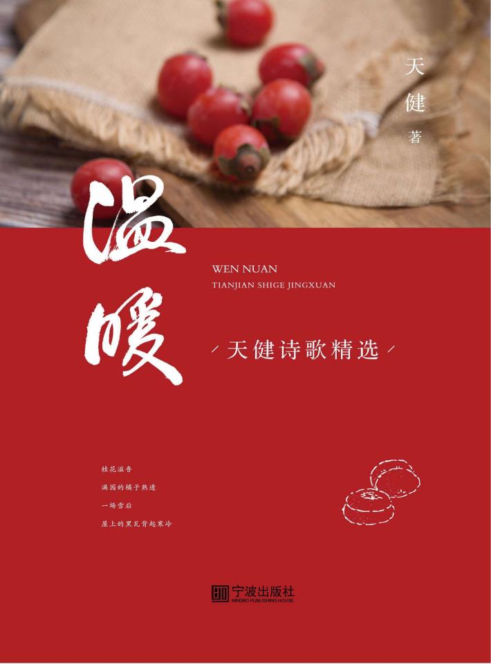 温暖  天健诗歌精选 封面