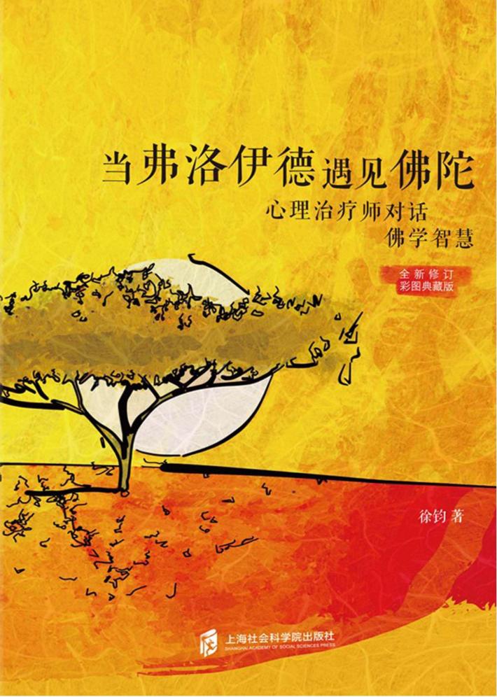 当弗洛伊德遇见佛陀  心理治疗师对话佛学智慧 封面