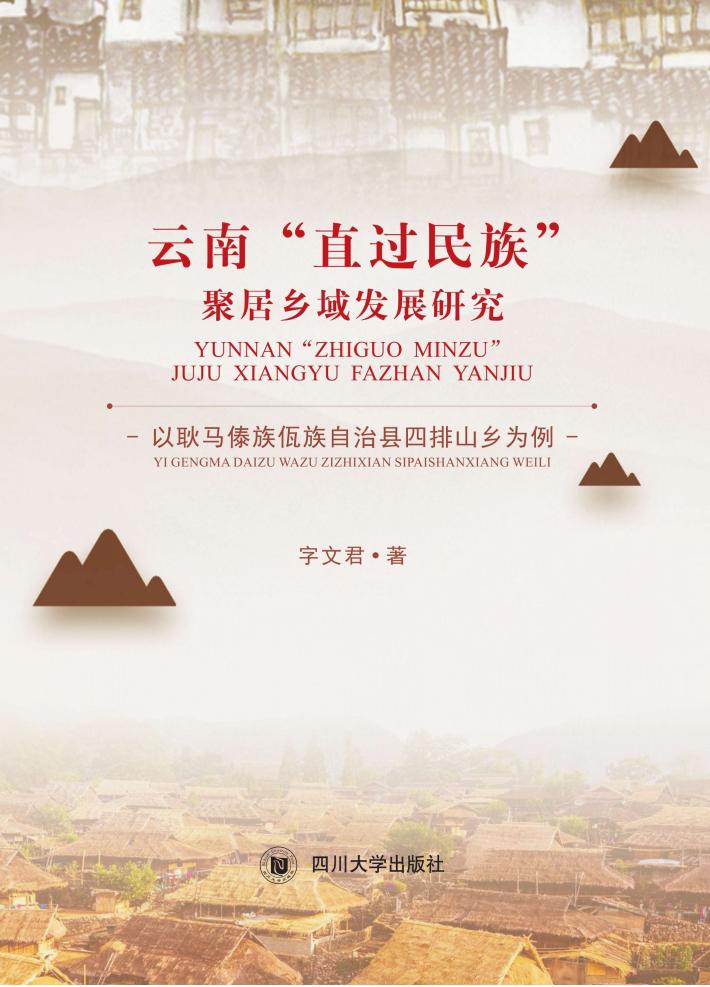 云南“直过民族”聚居乡域发展研究 封面