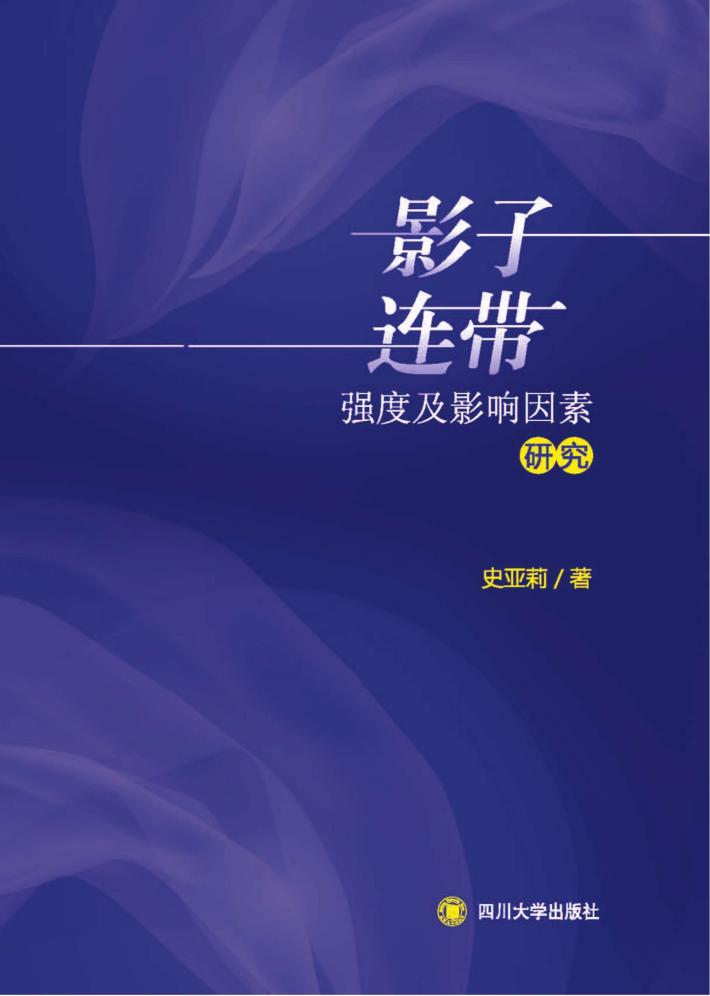 影子连带强度及影响因素研究 封面