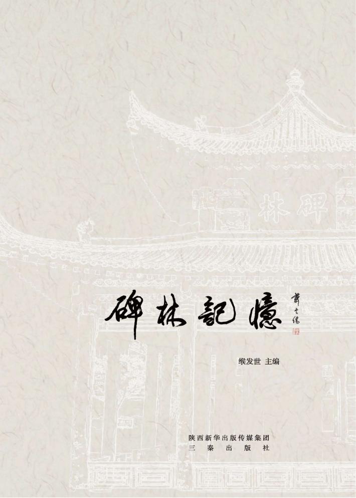 碑林记忆 封面