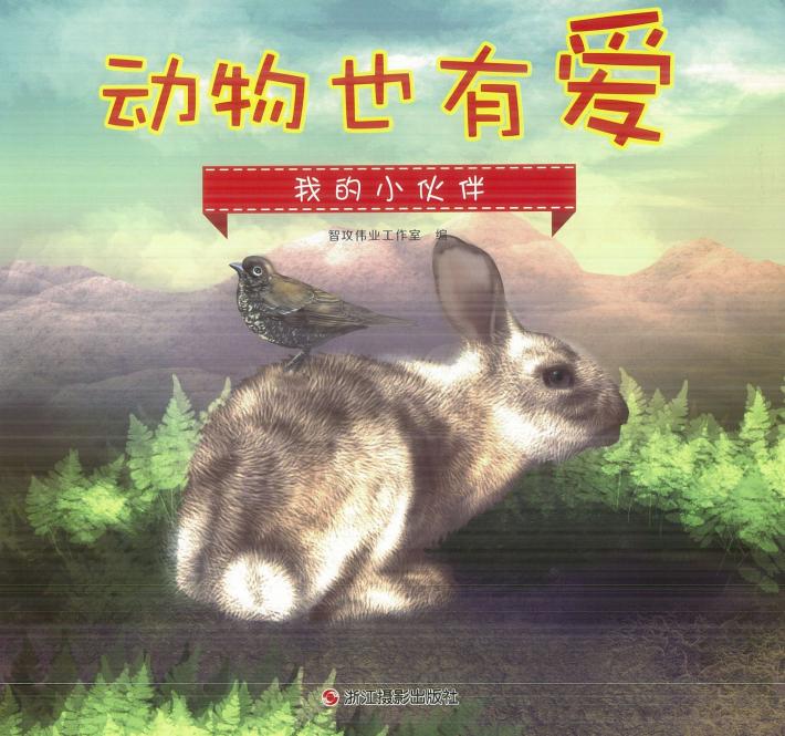 动物也有爱  我的小伙伴 封面