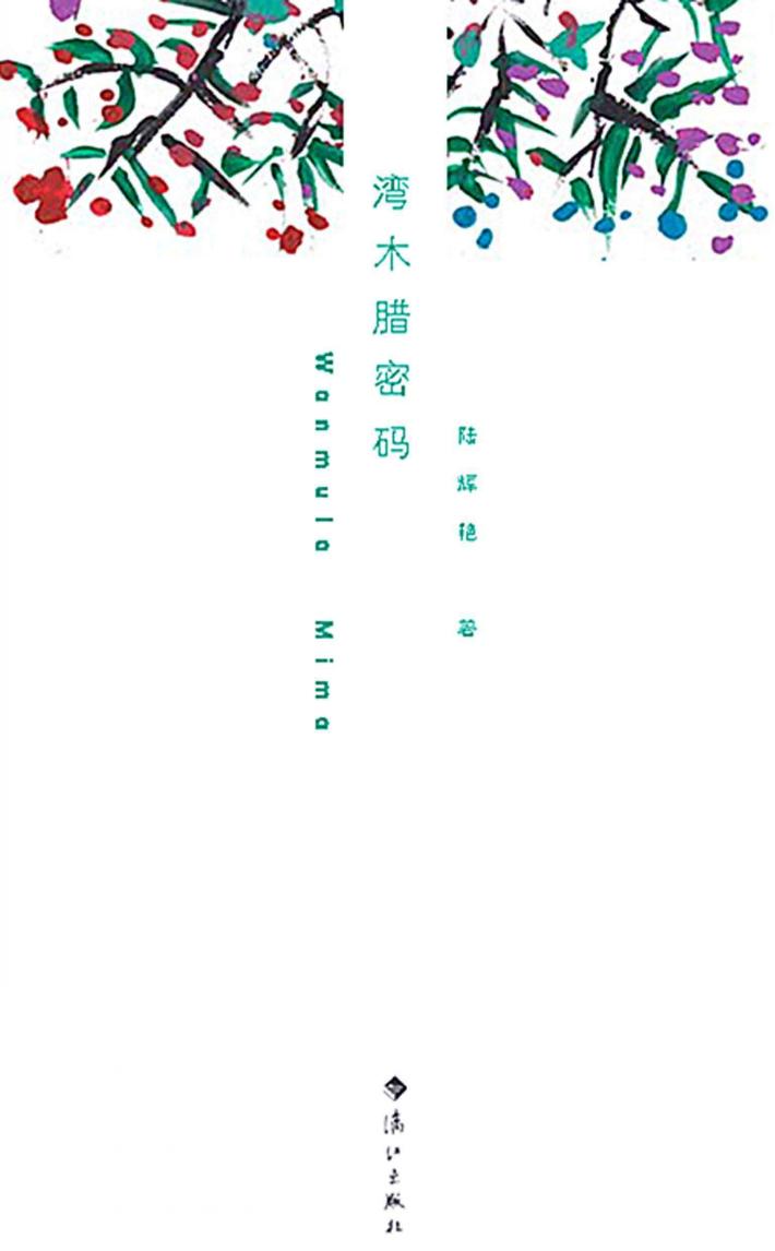 湾木腊密码 封面