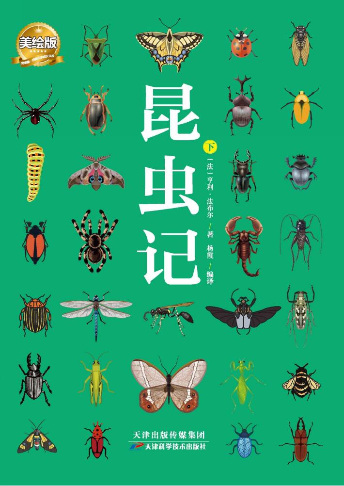 昆虫记  美绘版  下 封面