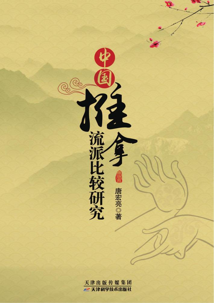 中国推拿流派比较研究 封面