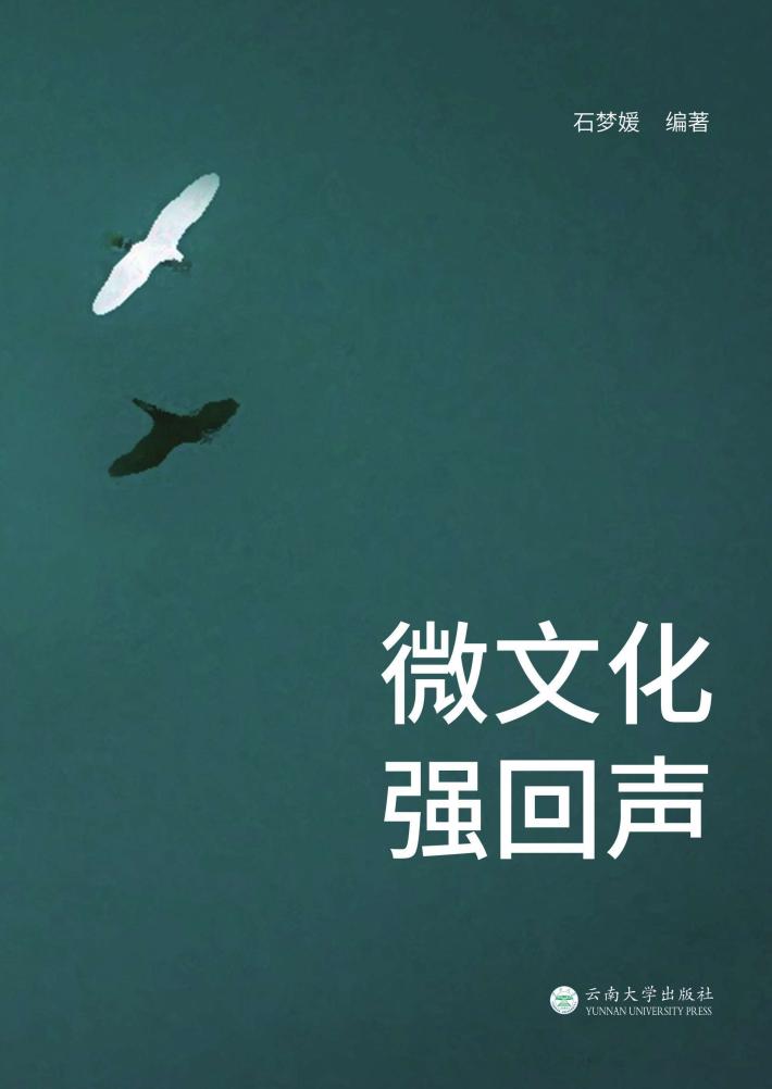 微文化  强回声 封面