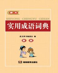 唐文辞书  实用成语词典 封面