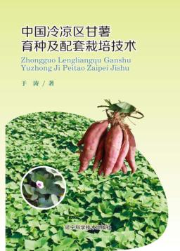 中国冷凉区甘薯育种及配套栽培技术 封面