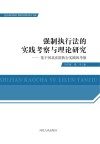 强制执行法的实践考察与理论研究 封面