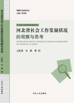 河北省社会工作发展状况的观察与思考 封面