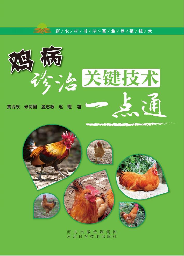 鸡病诊治关键技术一点通 封面