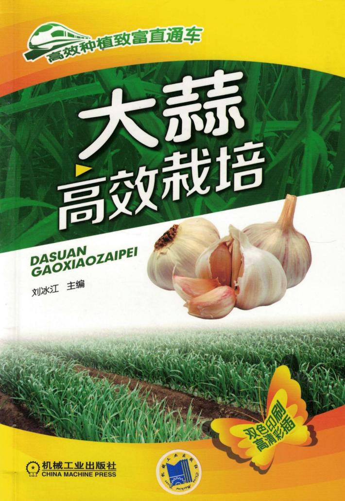 大蒜高效栽培 封面