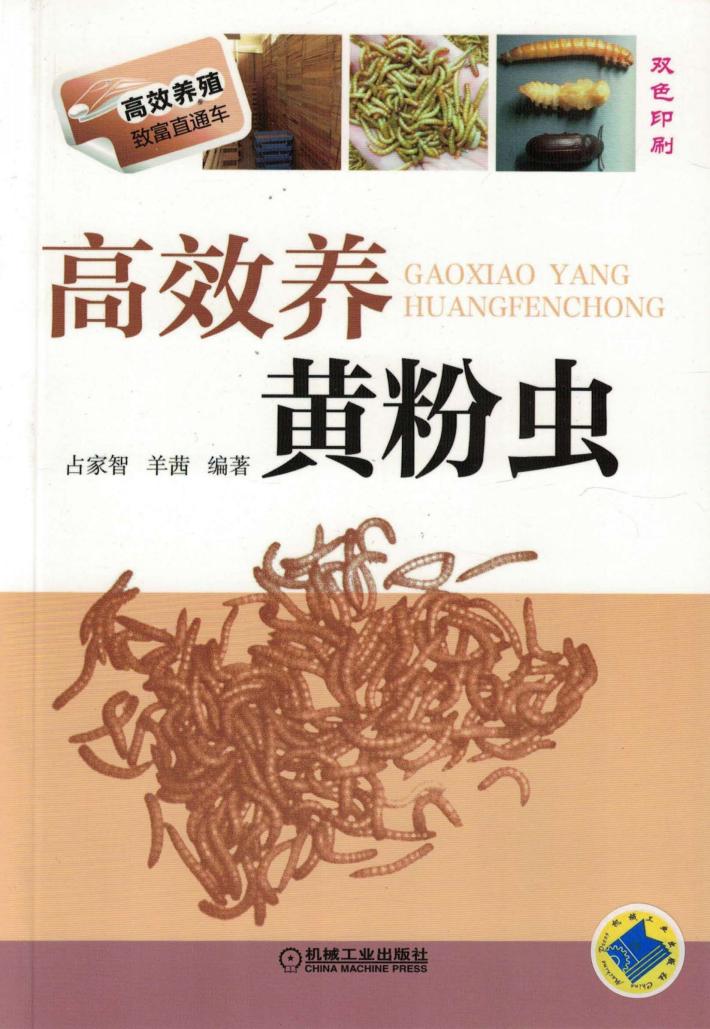 高效养黄粉虫 封面