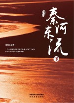 秦河东流  下 封面
