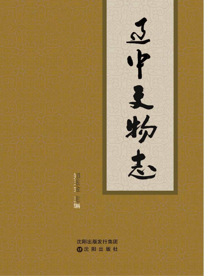 辽中文物志 封面