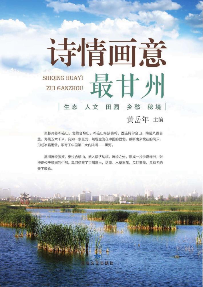 诗情画意最甘州 封面
