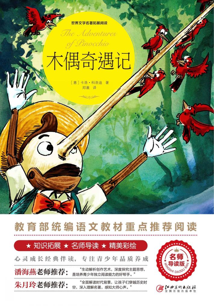 木偶奇遇记 封面