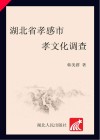 湖北省孝感市孝文化调查 封面