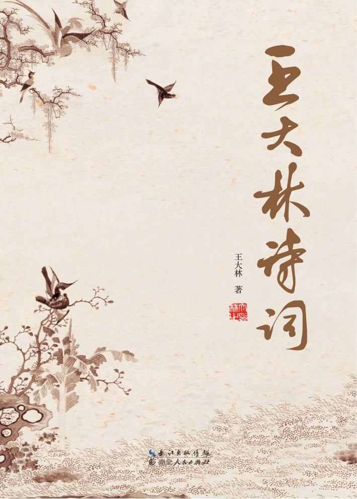 王大林诗词 封面