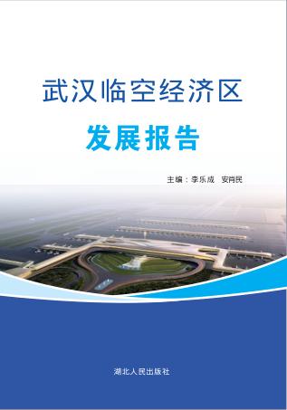 武汉临空经济区发展报告 封面