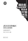 武汉市汉阳地区国有企业调查 封面