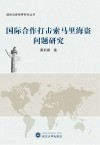 国际法新视野研究丛书  国际合作打击索马里海盗问题研究 封面