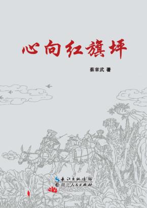 心向红旗坪 封面