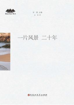一片风景  二十年 封面