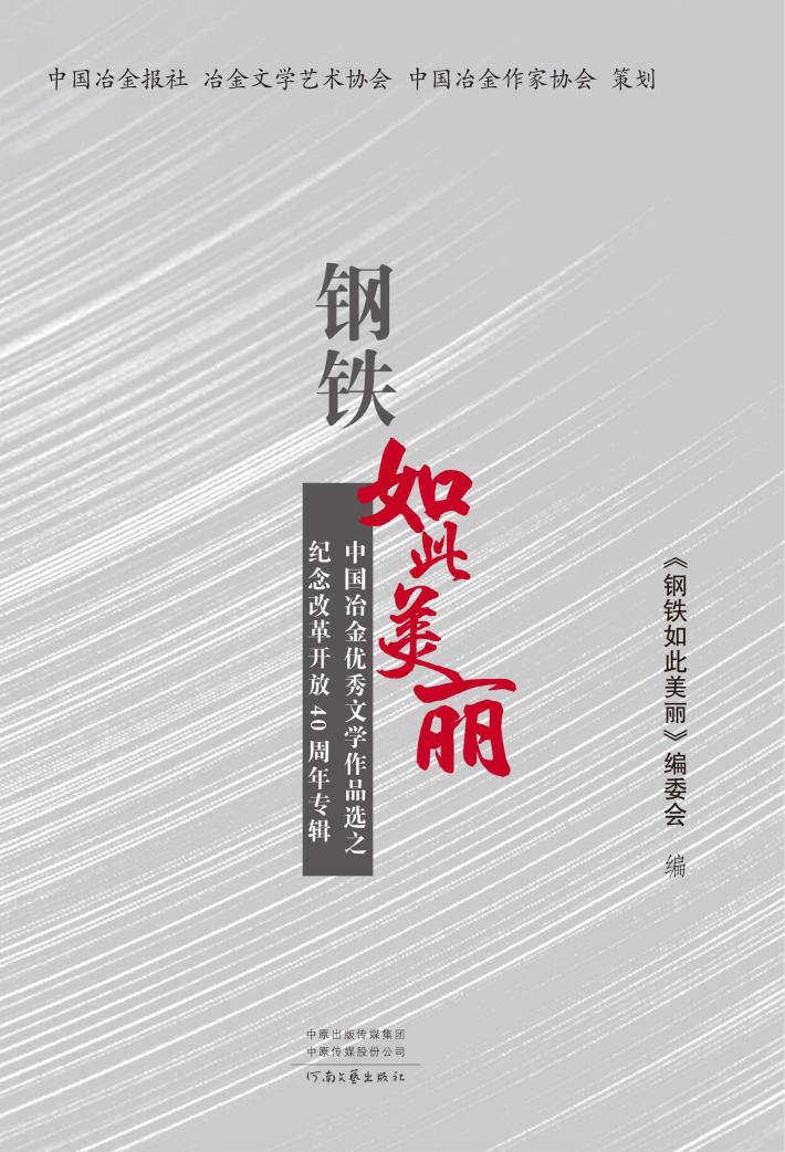 钢铁如此美丽  中国冶金优秀文学作品选之纪念改革开放40周年专辑 封面