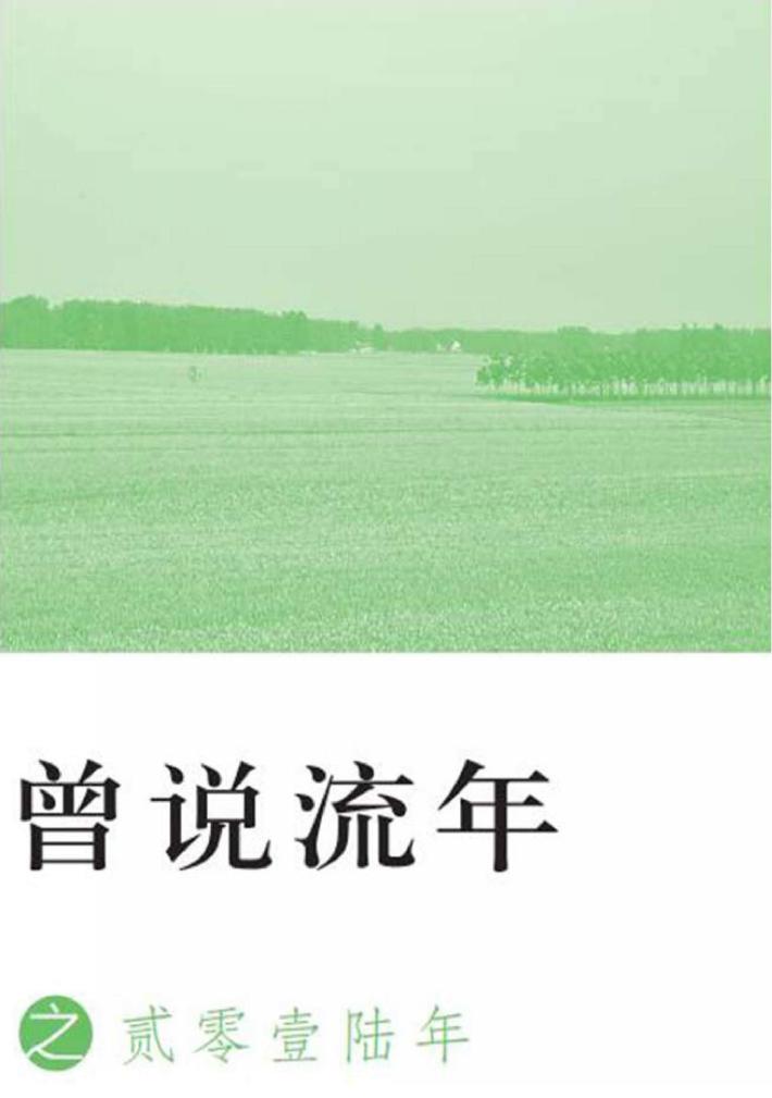 曾说流年之贰零壹陆年 封面