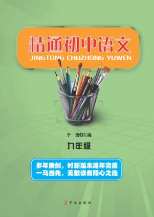 精通初中语文  九年级 封面