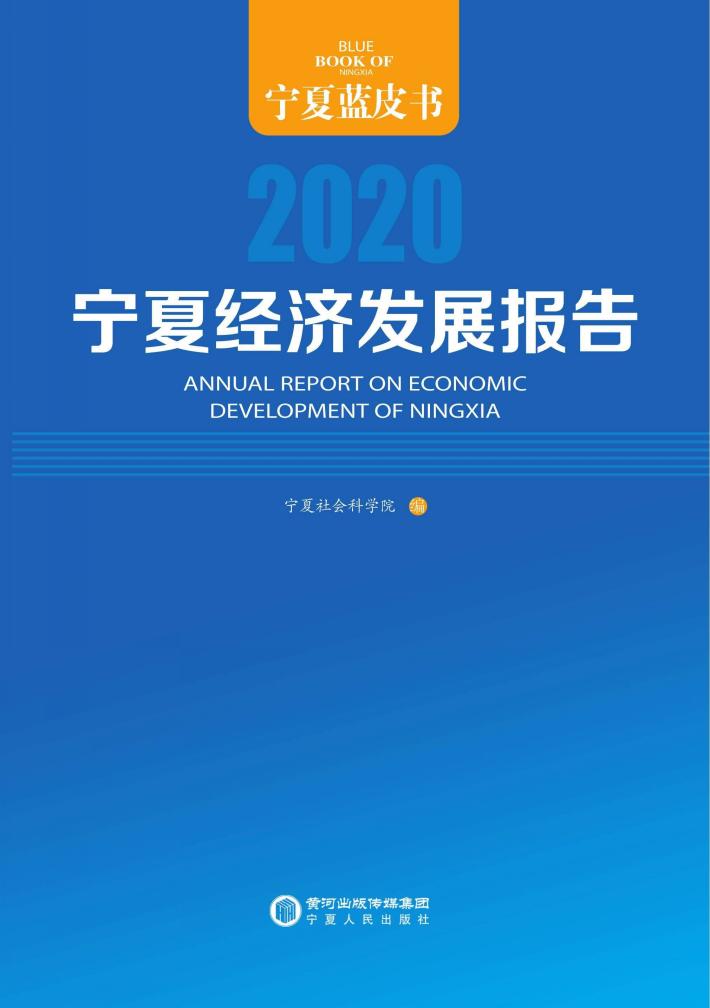 宁夏经济发展报告  2020 封面
