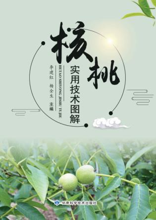 核桃实用技术图解 封面