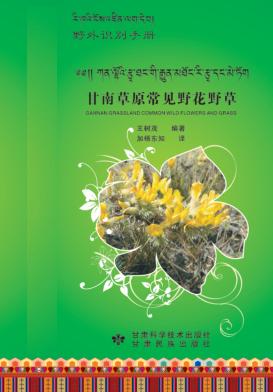 甘南草原常见野花野草 封面