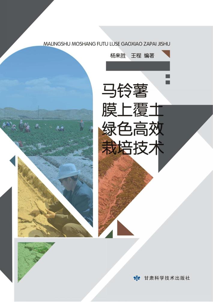 马铃薯膜上覆土绿色高效栽培技术 封面