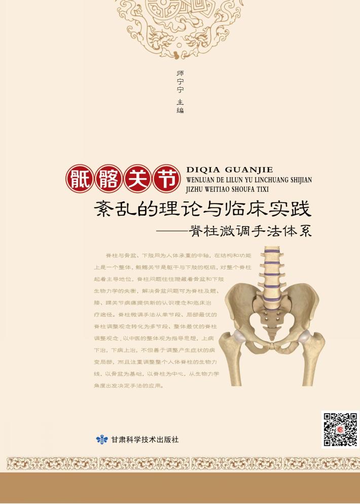 骶骼关节紊乱的理论与临床实践 封面
