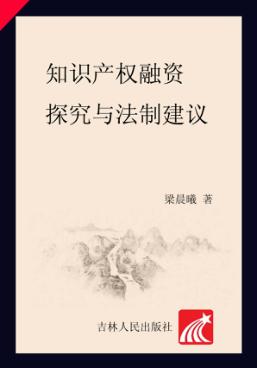 知识产权融资探究与法制建议 封面