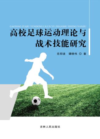 高校足球运动理论与战术技能研究 封面