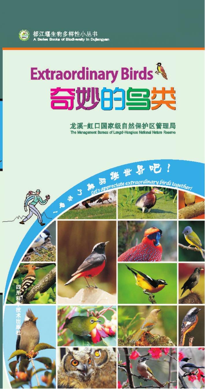 奇妙的鸟类 封面