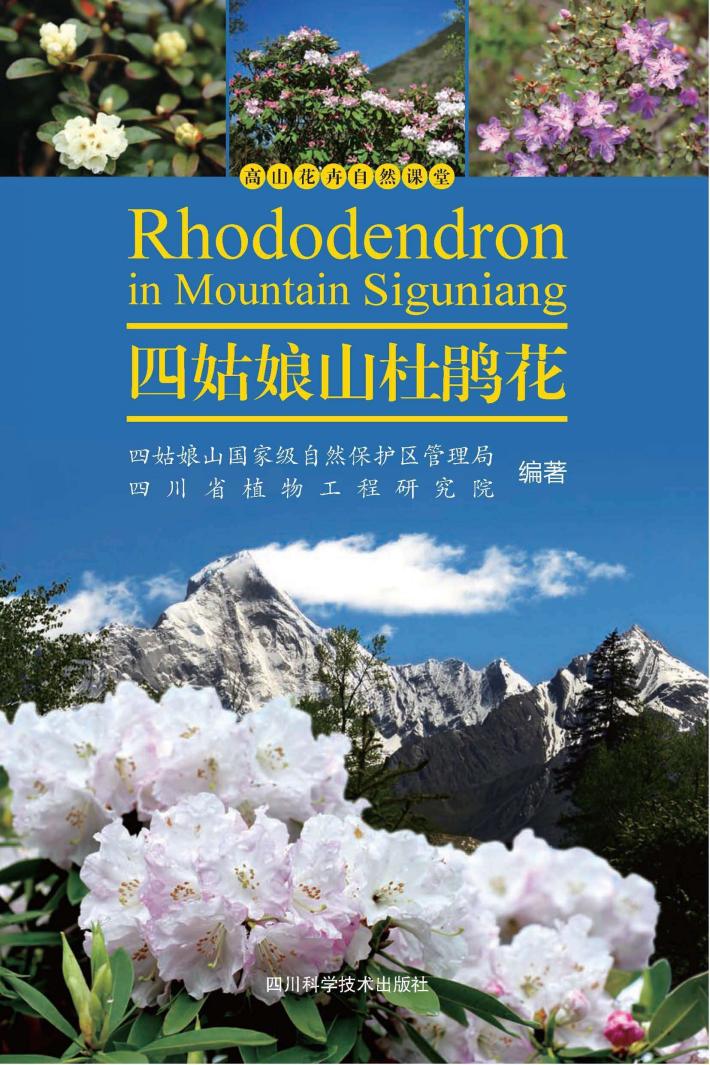 四姑娘山杜鹃花 封面