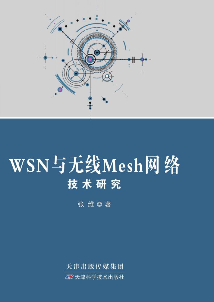 WSN与无线Mesh网络技术研究 封面
